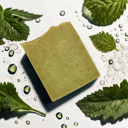 Nettle